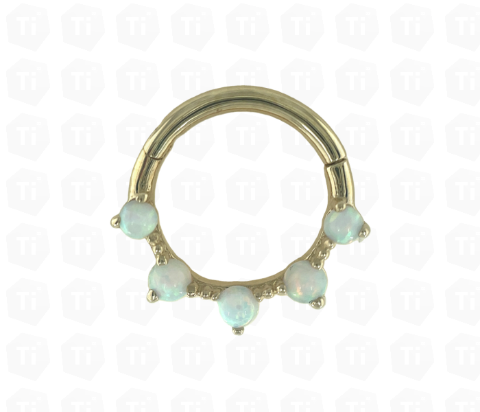 14kt Gold Twine Hinged Segment Ring |  16g (1/4 - 6mm)